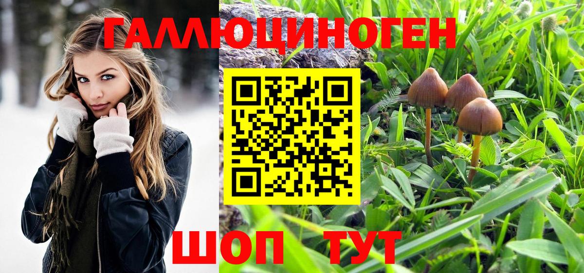 Советск  Псилоцибиновые грибы мухоморы  Вход с VPN 